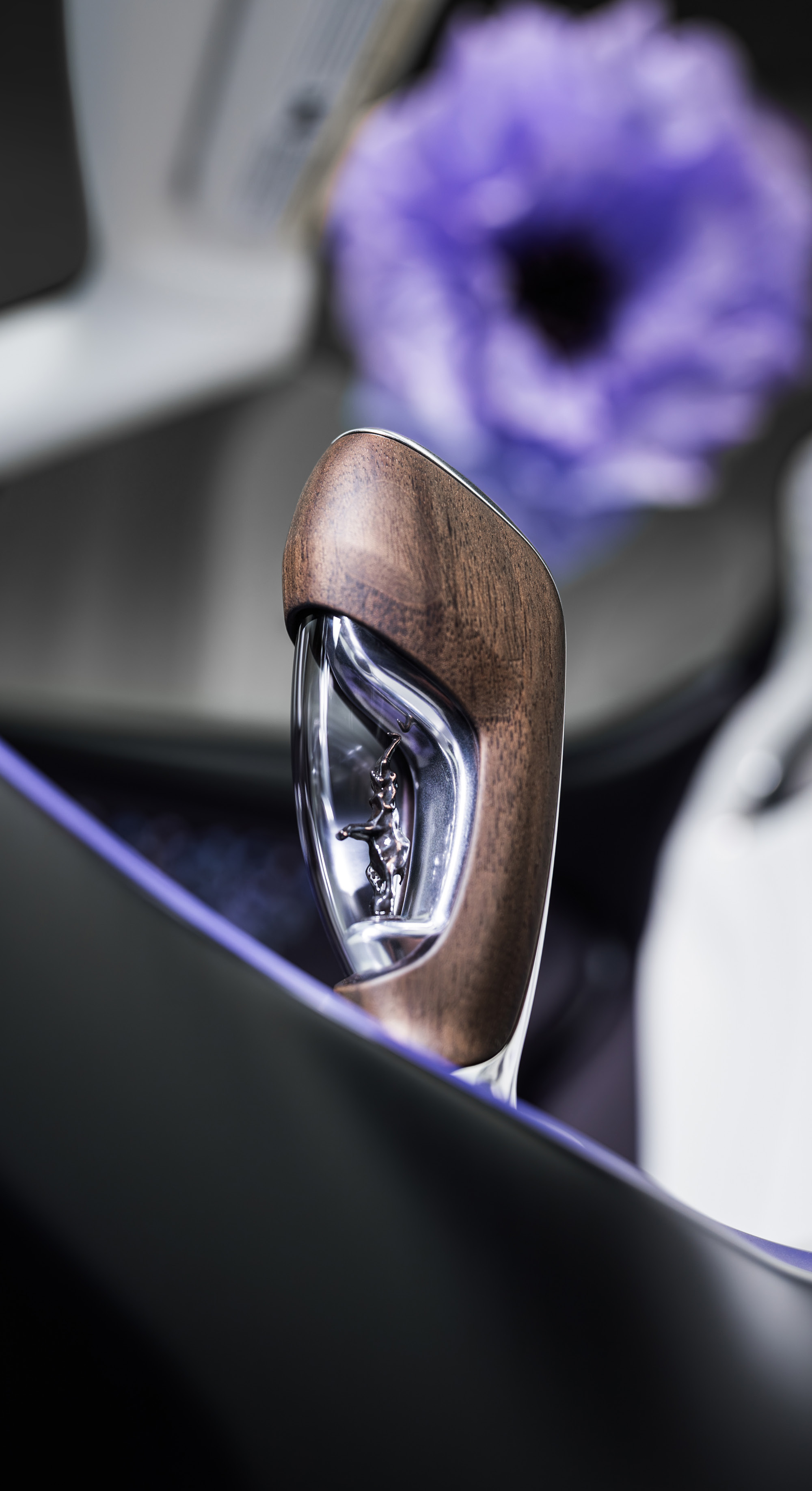 Bugatti W16 Mistral Caroline 2026