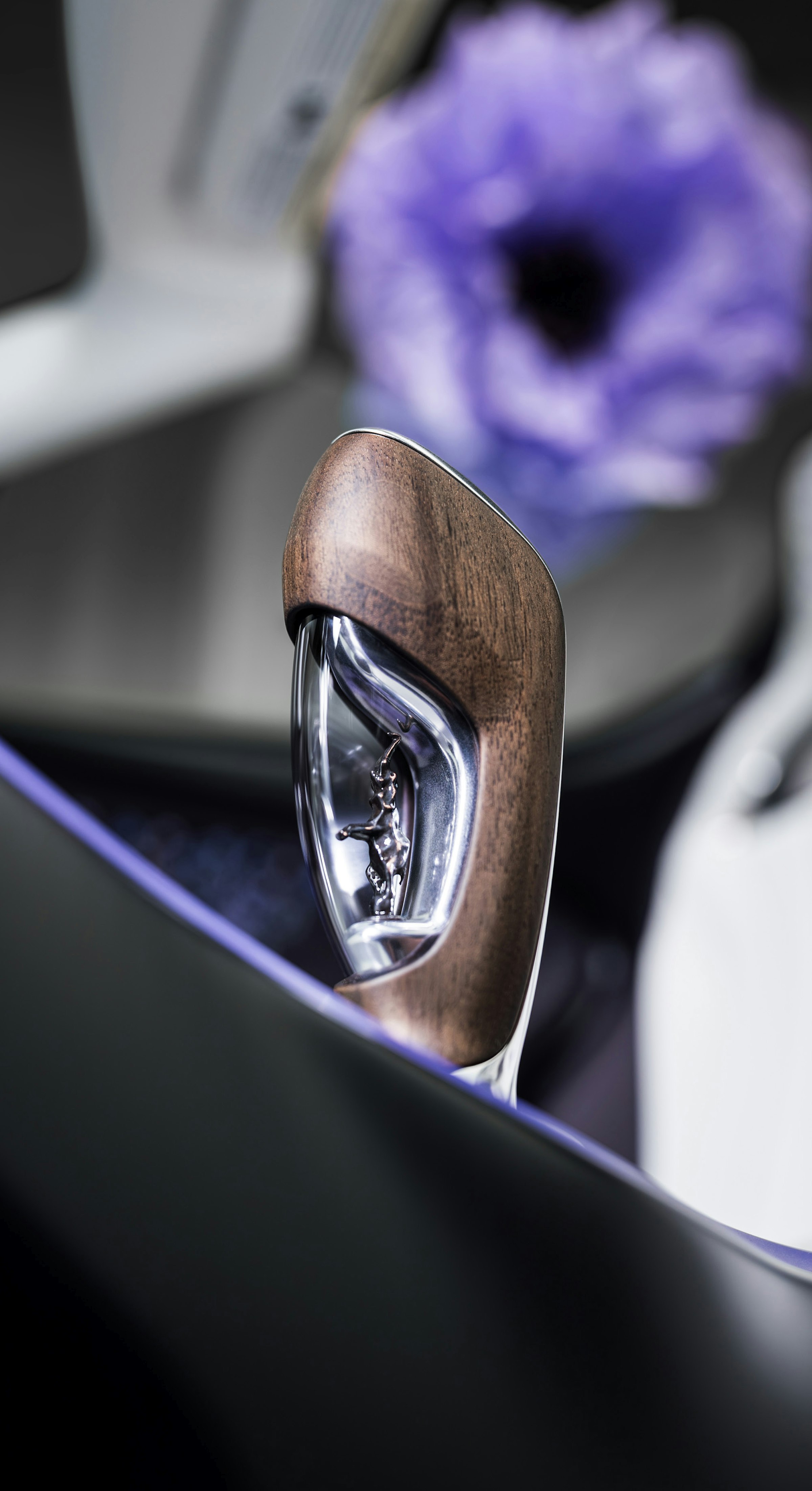 Bugatti W16 Mistral Caroline 2026